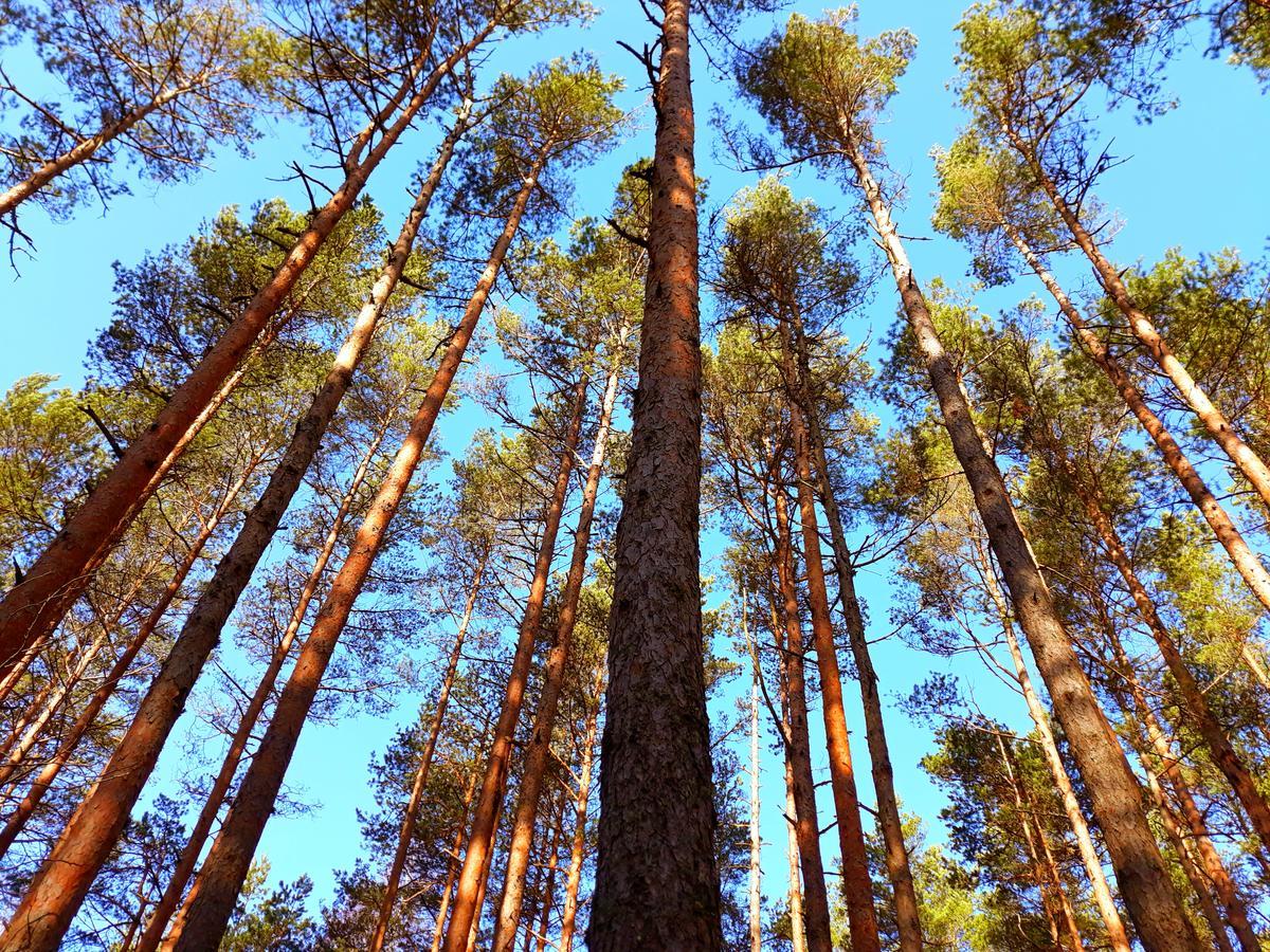 Atputas Vieta Braltirumi Purciems Екстериор снимка